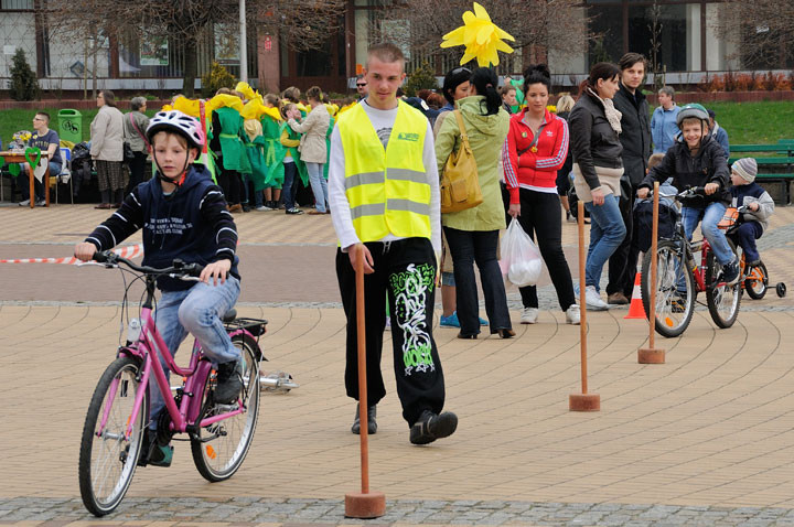 Żonkil - kwiat nadziei zdjęcie nr 55749