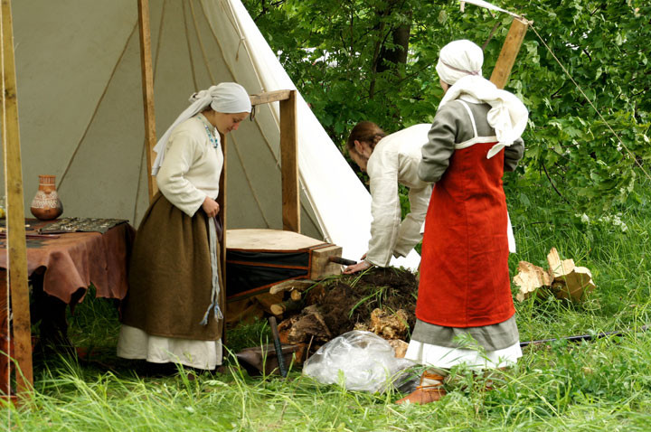 IV Międzynarodowy Festiwal „Wikingowie z Truso w Elblągu” zdjęcie nr 56532