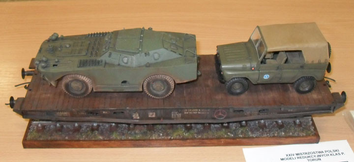 Sukces elbląskich modelarzy zdjęcie nr 58413