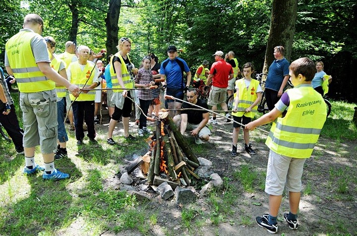 Rozkręcili Elbląg! zdjęcie nr 58508