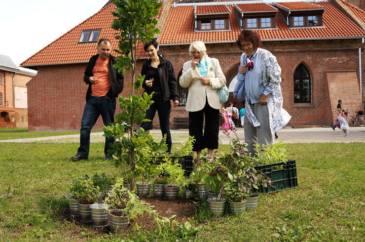 ziElbląg 2012 zdjęcie nr 60035