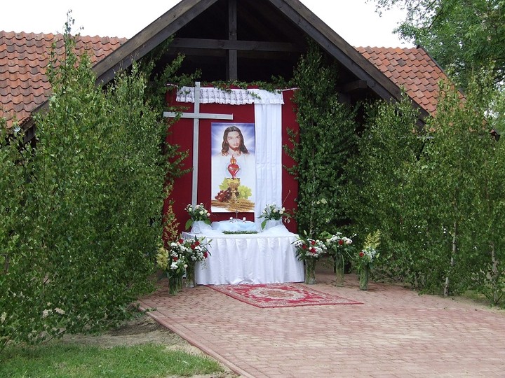 Wiata w Łęczu zdjęcie nr 60537