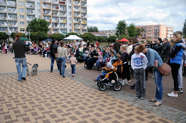Nasi czworonożni przyjaciele zdjęcie nr 61043