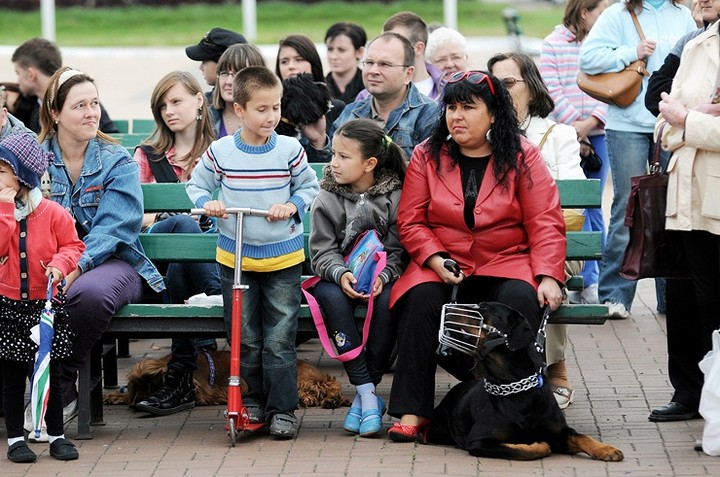 Nasi czworonożni przyjaciele zdjęcie nr 61046
