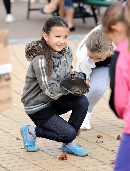 Nasi czworonożni przyjaciele zdjęcie nr 61051
