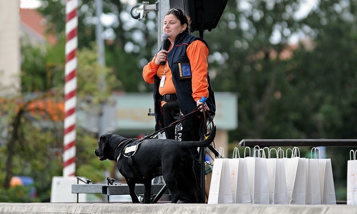 Nasi czworonożni przyjaciele zdjęcie nr 61048