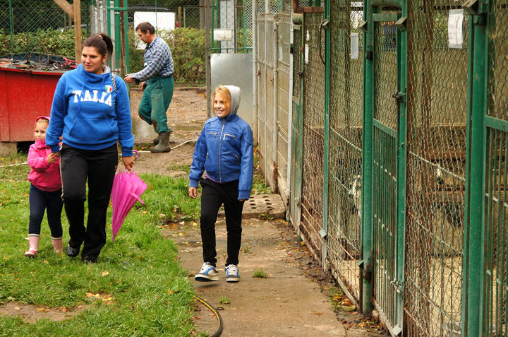 Dzień Otwarty w schronisku dla zwierząt zdjęcie nr 61877
