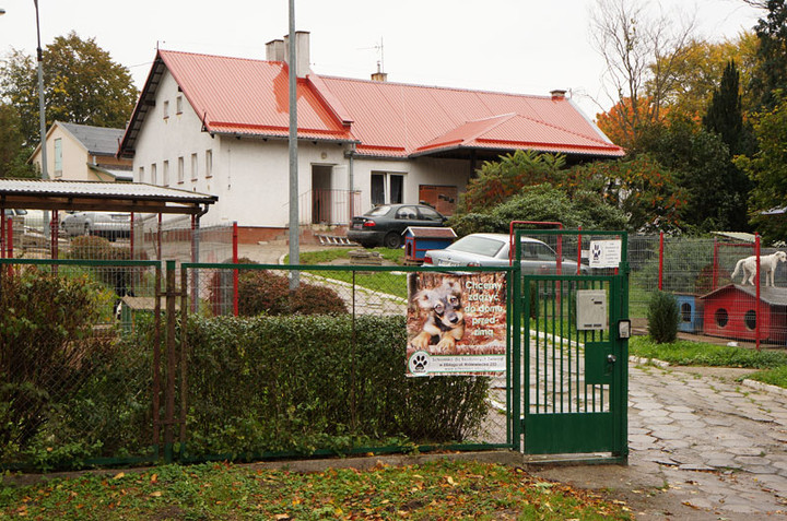 Dzień Otwarty w schronisku dla zwierząt zdjęcie nr 61863