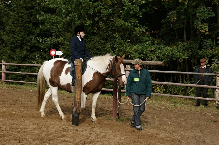Medalowa jazda konna uczniów SOSW Nr 1 zdjęcie nr 62080
