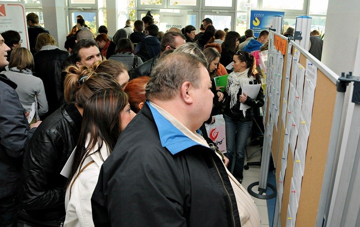 Elbląg Trwają Europejskie Targi Kariery i Pracy