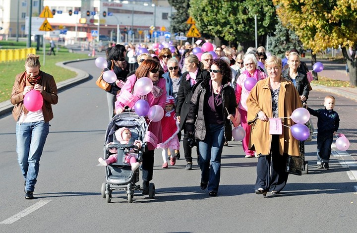 Elbląg się zaróżowił zdjęcie nr 62535