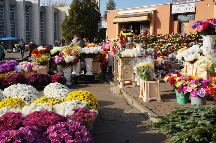 Przed Świętem Zmarłych zdjęcie nr 62951