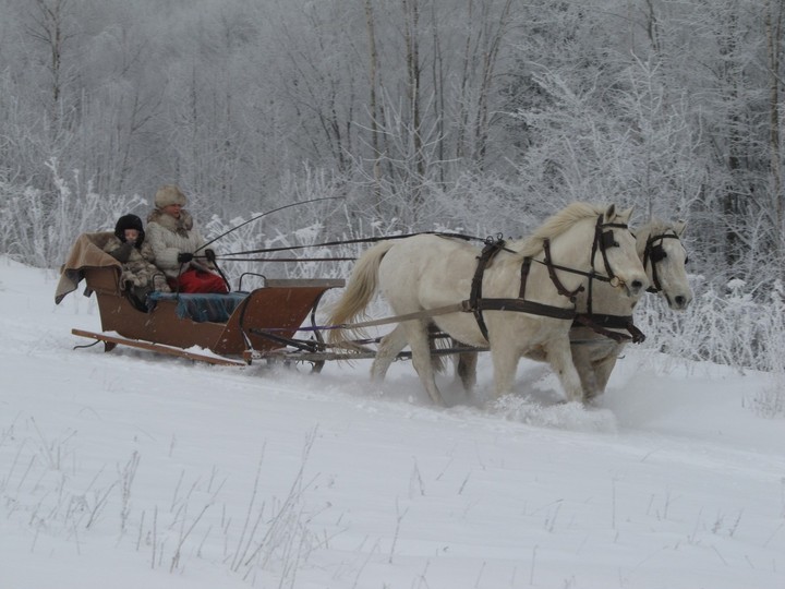 Z kopyta kulig rwie... zdjęcie nr 65379