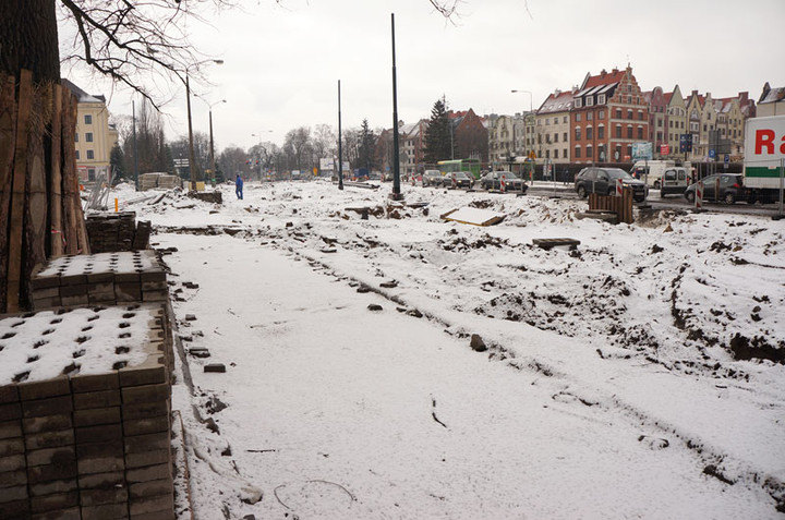 Elbląg Nie ma róży bez kolców