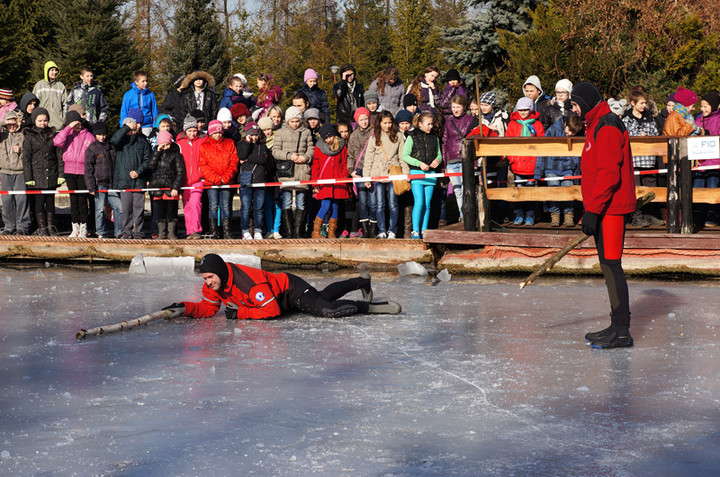 Pokaz ratownictwa lodowego zdjęcie nr 66555