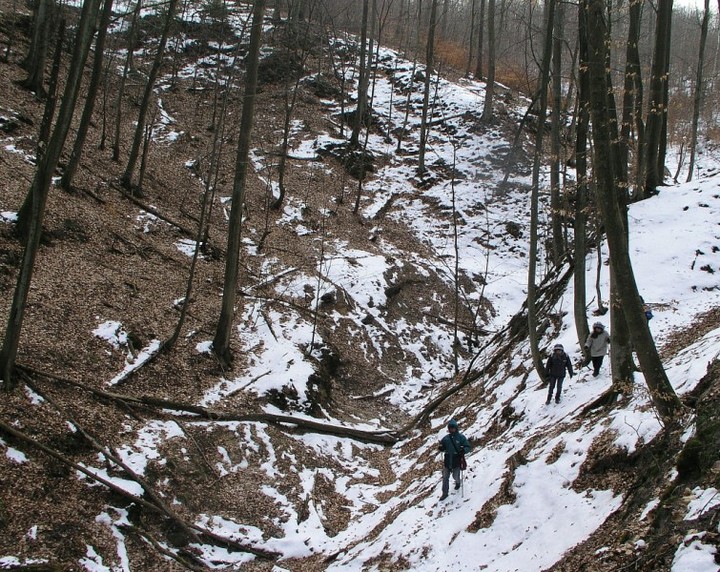 III zimowy spacer po Wysoczyżnie Elbląskiej z aparatem fotograficznym zdjęcie nr 66787
