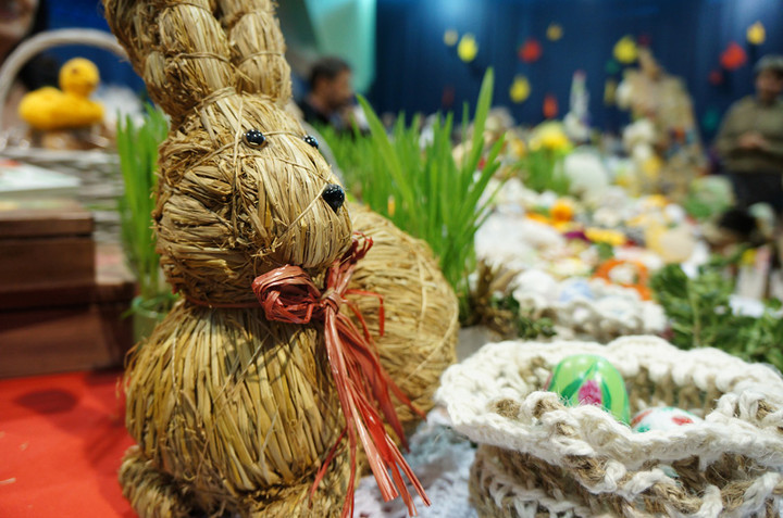 Pogrzeb żuru i śledzia 2013 zdjęcie nr 67239