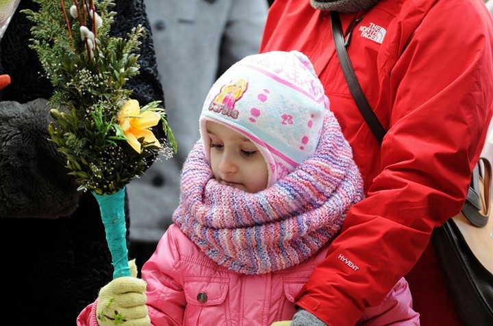 Liczy się zaangażowanie zdjęcie nr 67341