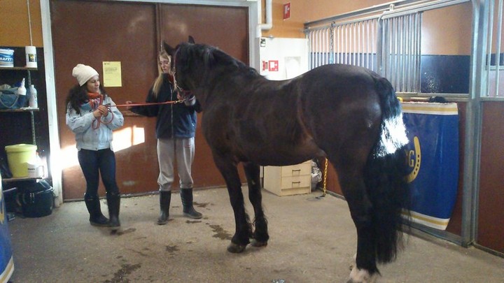 ZSIŚiU w krainie reniferów zdjęcie nr 67990