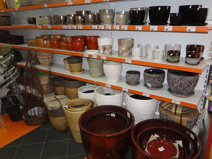 MGarden - Twoj ogród naszą pasją! zdjęcie nr 68393