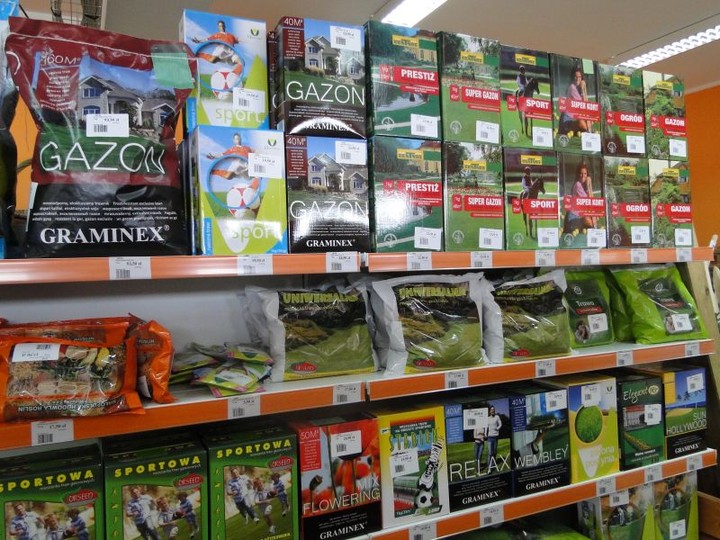 MGarden - Twoj ogród naszą pasją! zdjęcie nr 68384