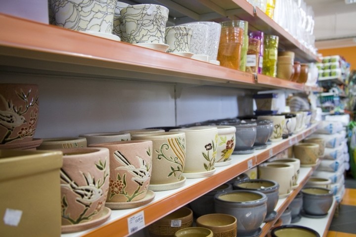 MGarden - Twoj ogród naszą pasją! zdjęcie nr 68392