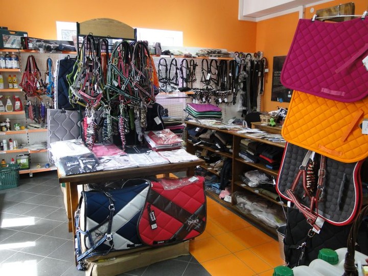 MGarden - Twoj ogród naszą pasją! zdjęcie nr 68403