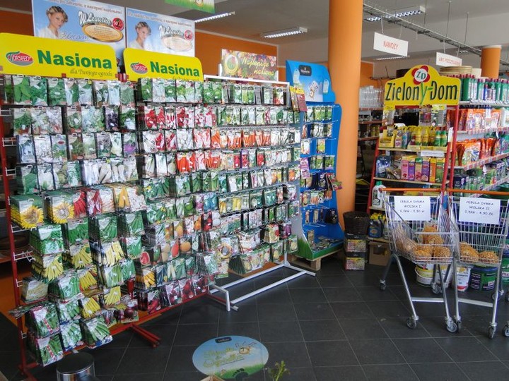 MGarden - Twoj ogród naszą pasją! zdjęcie nr 68399