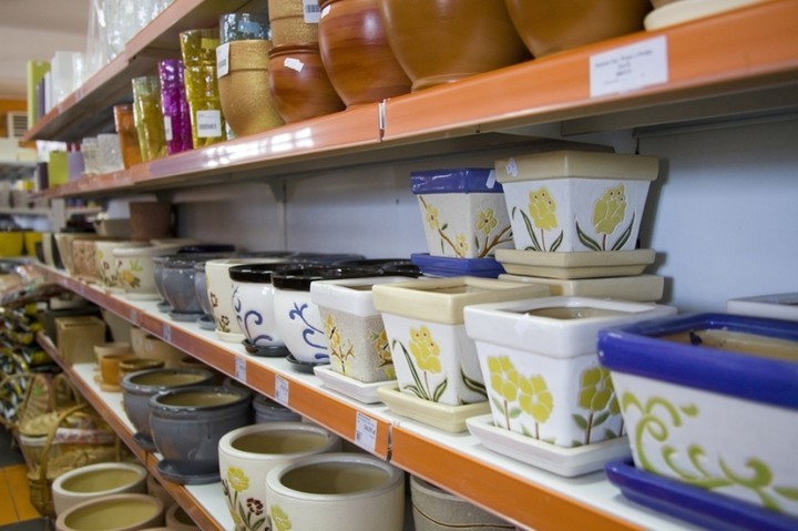 MGarden - Twoj ogród naszą pasją! zdjęcie nr 68391