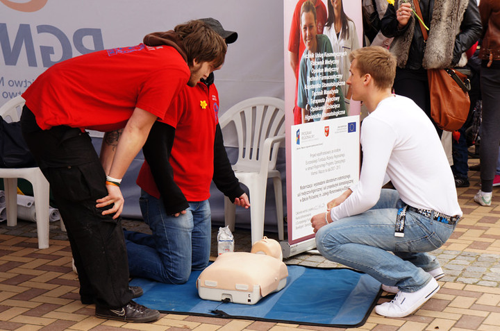 Żonkilowe Pola Nadziei zdjęcie nr 68778