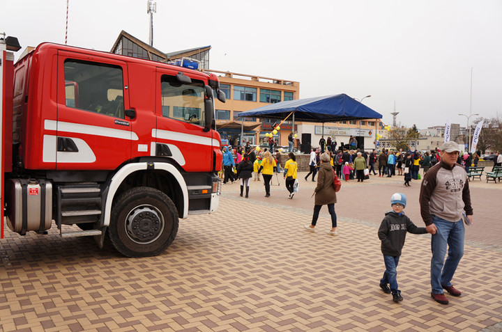 Żonkilowe Pola Nadziei zdjęcie nr 68788