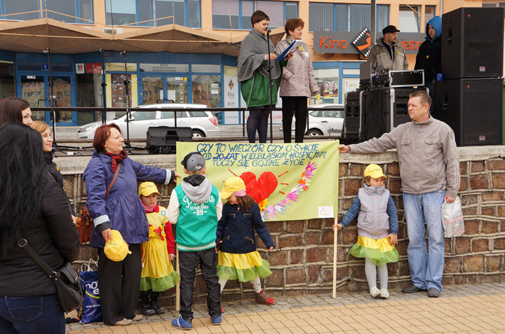 Żonkilowe Pola Nadziei zdjęcie nr 68770