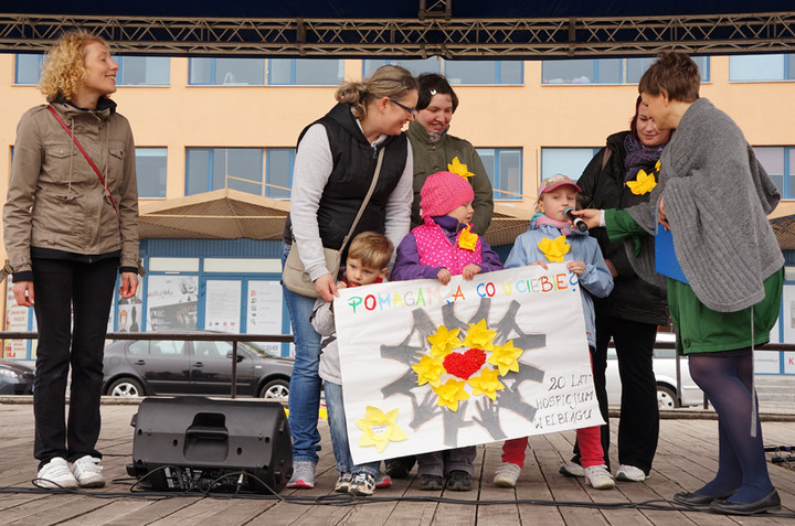 Żonkilowe Pola Nadziei zdjęcie nr 68784