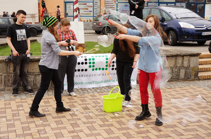 Żonkilowe Pola Nadziei zdjęcie nr 68786