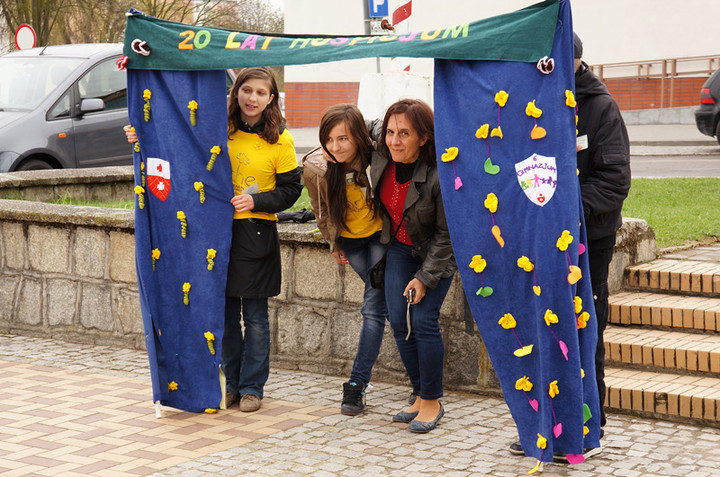 Żonkilowe Pola Nadziei zdjęcie nr 68762