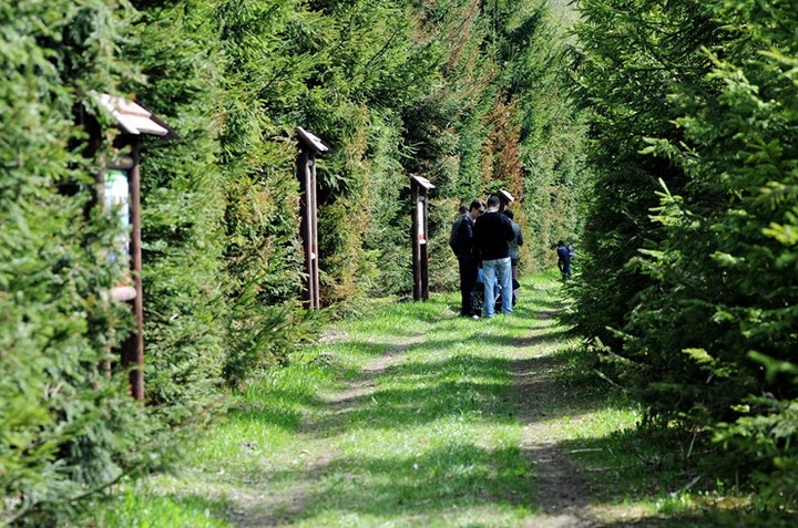 Lew Gigant i inne atrakcje zdjęcie nr 69060