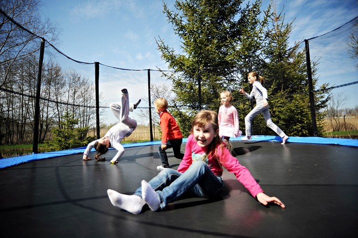 Lew Gigant i inne atrakcje zdjęcie nr 69053