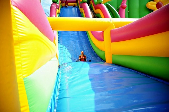 Lew Gigant i inne atrakcje zdjęcie nr 69073