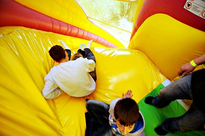 Lew Gigant i inne atrakcje zdjęcie nr 69084