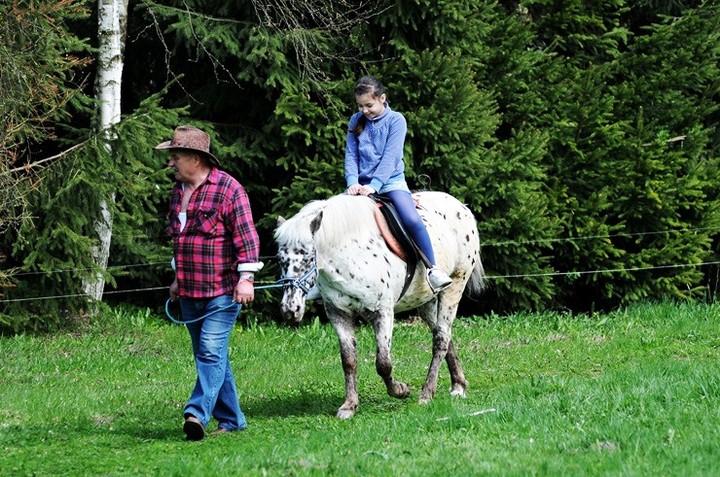 Lew Gigant i inne atrakcje zdjęcie nr 69066