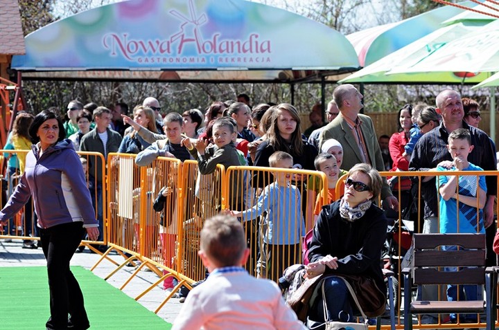 Lew Gigant i inne atrakcje zdjęcie nr 69069