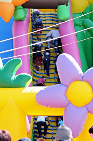 Lew Gigant i inne atrakcje zdjęcie nr 69071