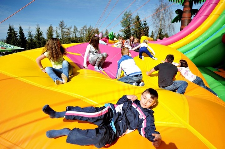 Lew Gigant i inne atrakcje zdjęcie nr 69086