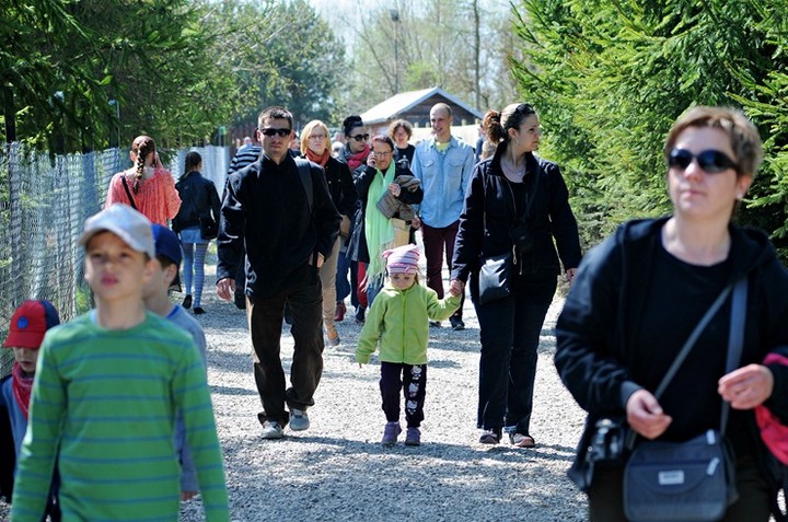 Lew Gigant i inne atrakcje zdjęcie nr 69049