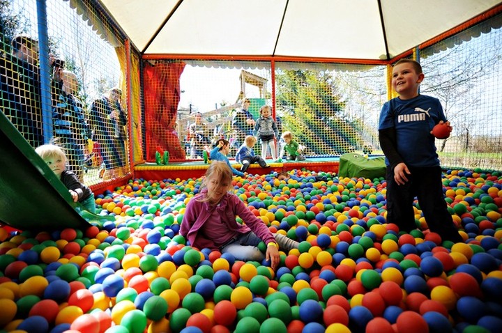 Lew Gigant i inne atrakcje zdjęcie nr 69054