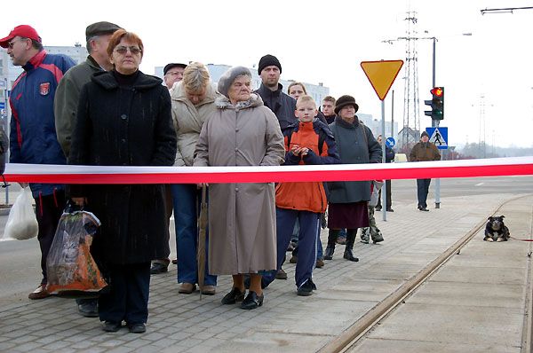 Elbląg Zielone już jeżdżą