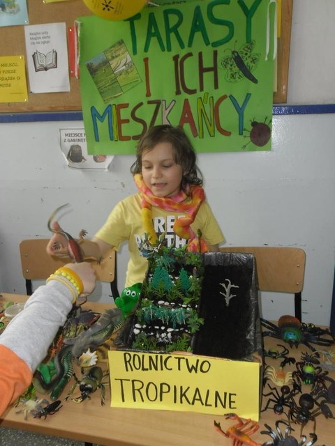 Europejskie Słoneczne Dni w SP 18 zdjęcie nr 69727