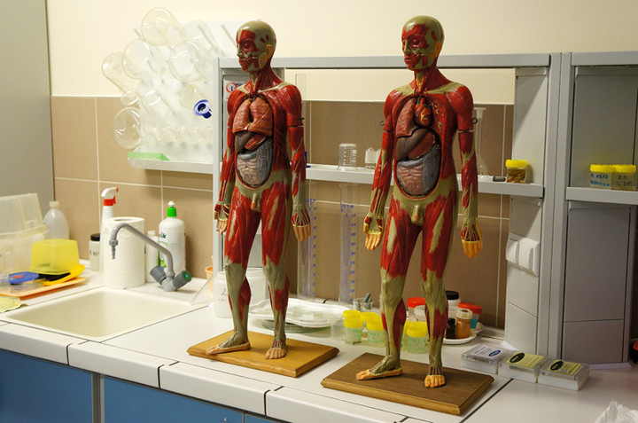 XI Bałtycki Festiwal Nauki zdjęcie nr 70072