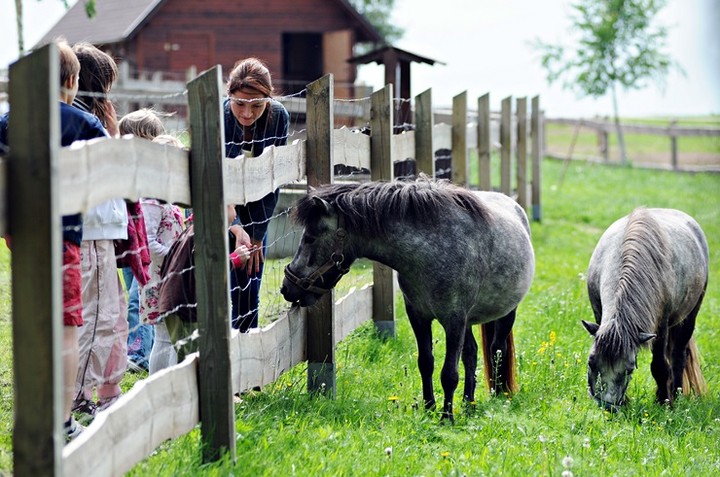 Nie różnimy się niczym, poza wielkością zdjęcie nr 70589