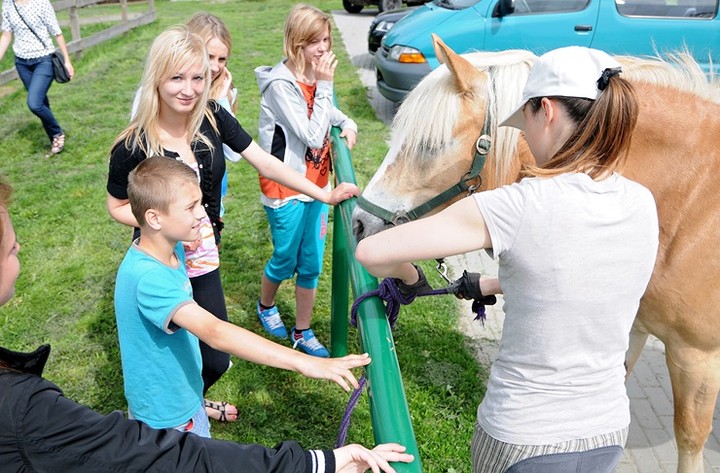 Nie różnimy się niczym, poza wielkością zdjęcie nr 70587